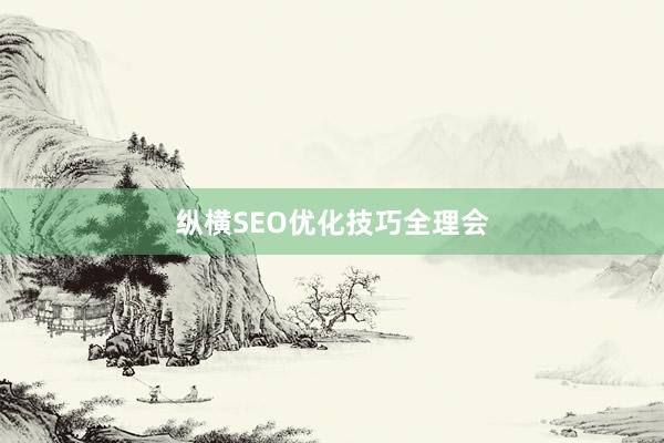 纵横SEO优化技巧全理会
