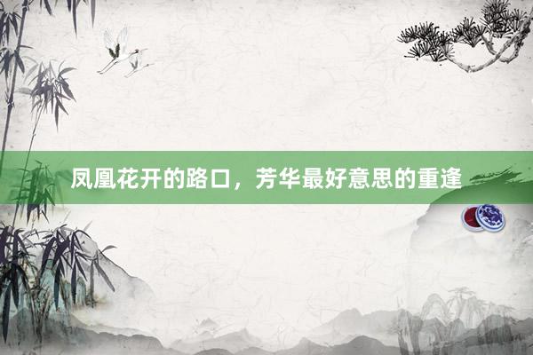 凤凰花开的路口，芳华最好意思的重逢